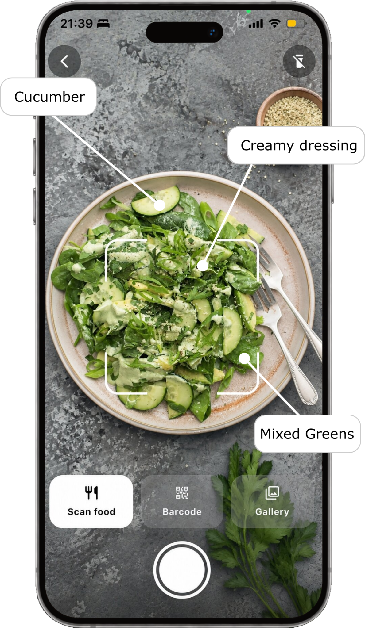 SnapCalo AI food scanner