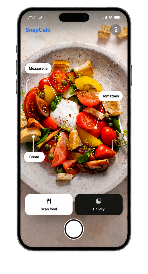 SnapCalo AI food scanner